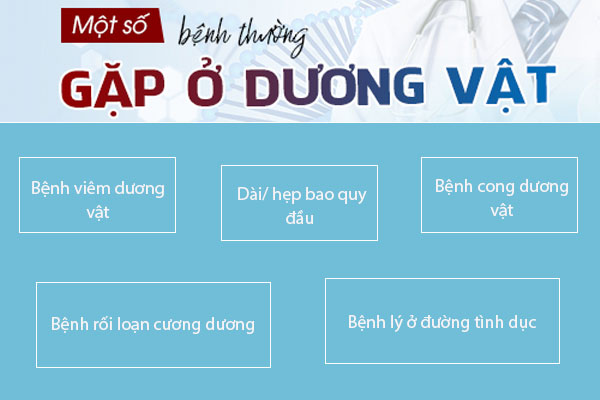 Điểm danh các bệnh dương vật nam giới hay mắc phải