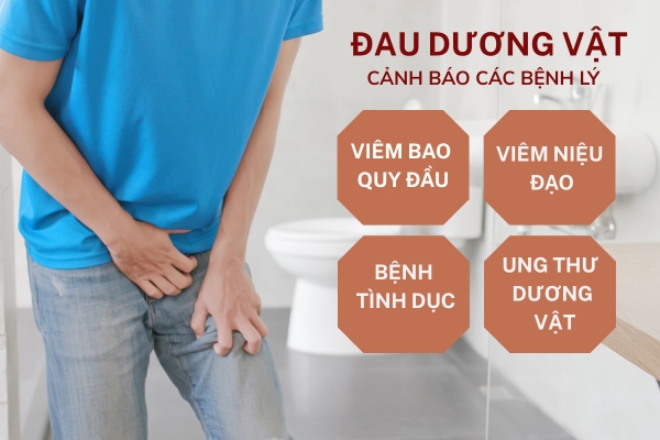 Đau dương vật là bị bệnh gì có nguy hiểm không?